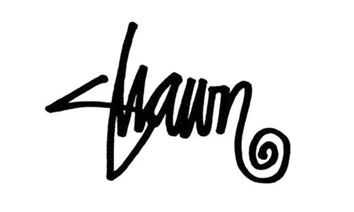 logo stussy